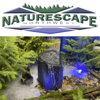 NatureScape Northwest, LLC - Water Feature Fountain